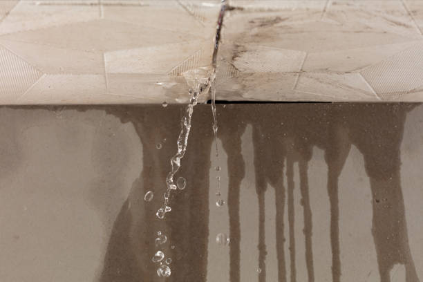 Professional Water Damage Restoration technician working in Colts Neck, NJ